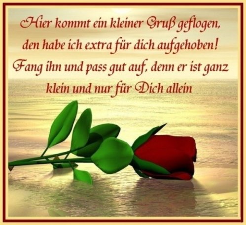 An den Beitrag angehängtes Bild: http://img1.dreamies.de/img/148/b/7b4f0af47ox.jpg