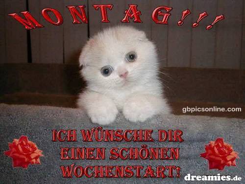 http://img1.dreamies.de/img/216/b/ovl6q8g5d3.jpg