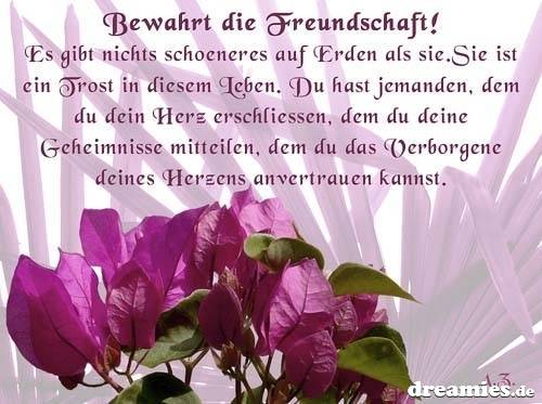ext. Bild