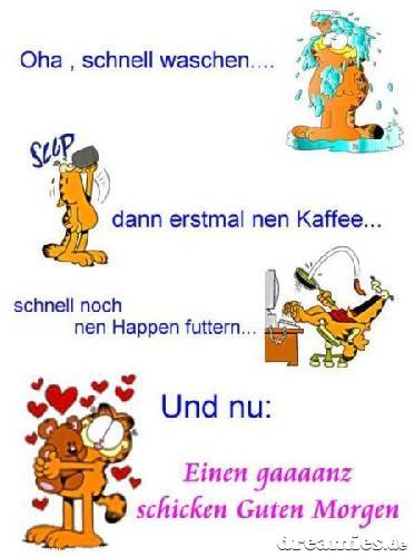 ext. Bild