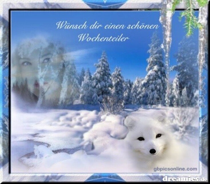 An den Beitrag angehängtes Bild: http://img1.dreamies.de/img/359/b/ssrieau2izd.jpg