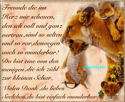 ext. Bild