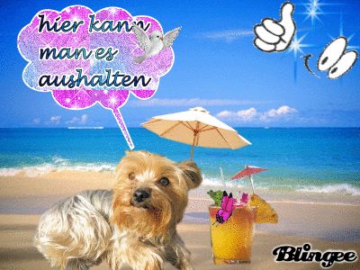 bis später lustich.de