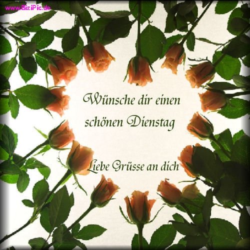 An den Beitrag angehängtes Bild: http://img1.dreamies.de/img/789/b/wc93i5s126i.jpg