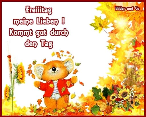 An den Beitrag angehängtes Bild: http://img1.dreamies.de/img/874/b/9tn1raxarvw.jpg