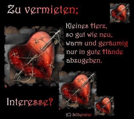ext. Bild