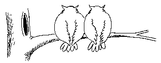 http://img1.dreamies.de/img/952/b/xHZ9jIt9cu.gif