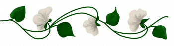 fzeb9ir8nro.png