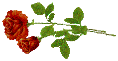 guq64tlcs4c.gif