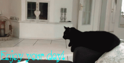 eip4kocsvhl.gif