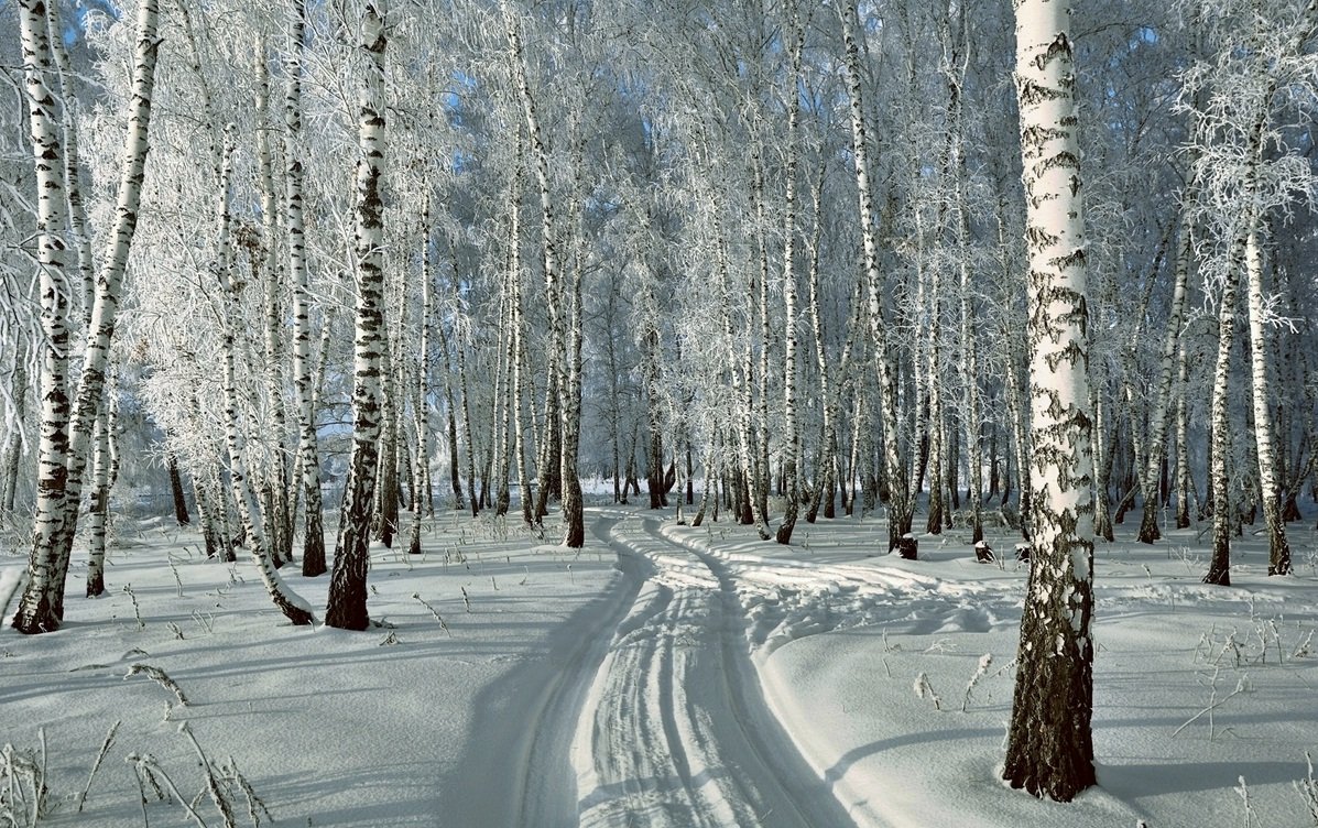 Zimski pejzaži-Winter landscapes - Page 10 V9ymnnbwj6c