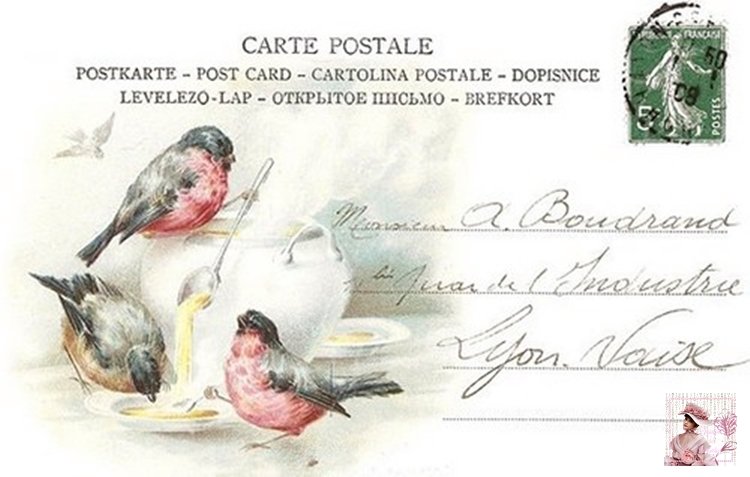 Postais Antigos Com Pássaros