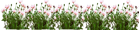 96csizdgr6y.gif