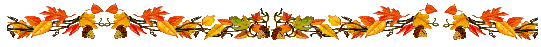 kq33c8ch204.gif