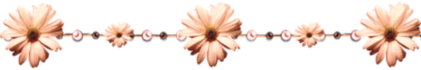 dry73y3styy.png