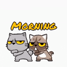 fkv4scxlpev.gif
