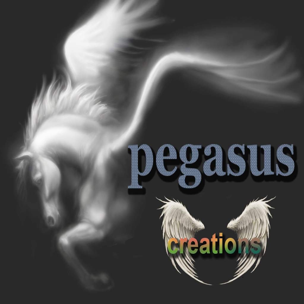 PEGASUS SHOWROOM