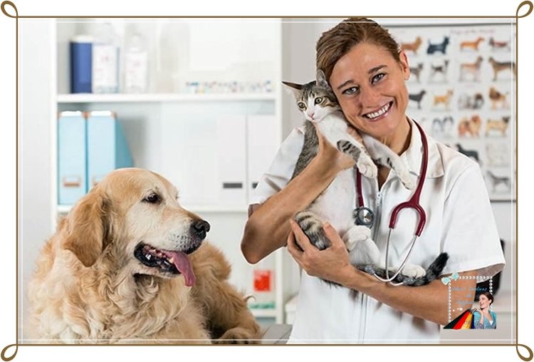 Ideias de Negocios Com Animais Domésticos