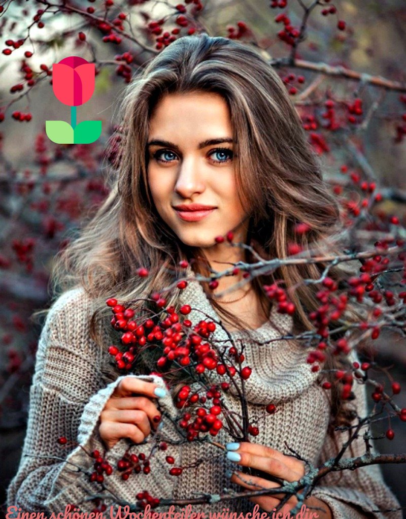 An den Beitrag angehängtes Bild: https://img1.dreamies.de/img/148/b/dcnvwg8hwvj.jpg