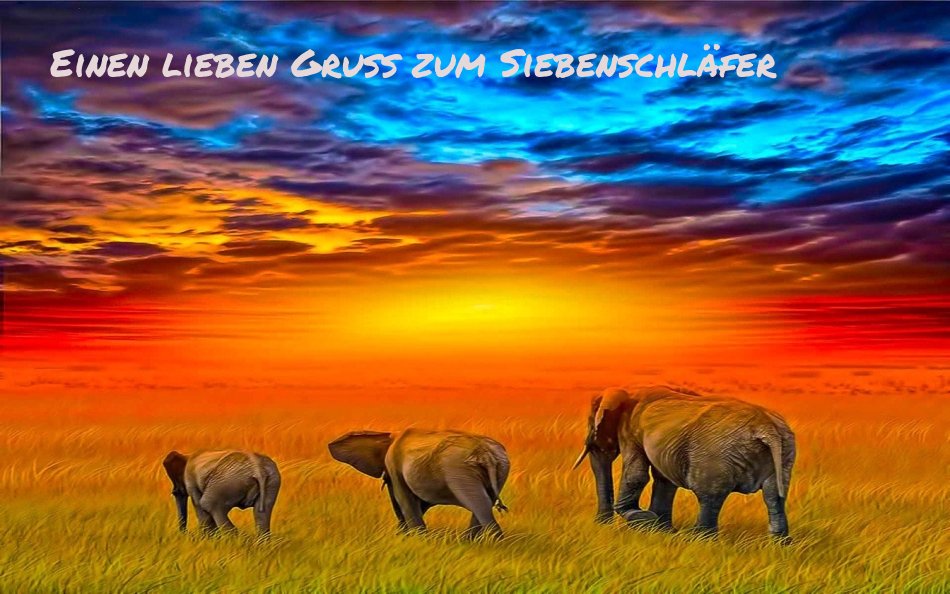 An den Beitrag angehängtes Bild: https://img1.dreamies.de/img/156/b/35hmze94ir0.jpg