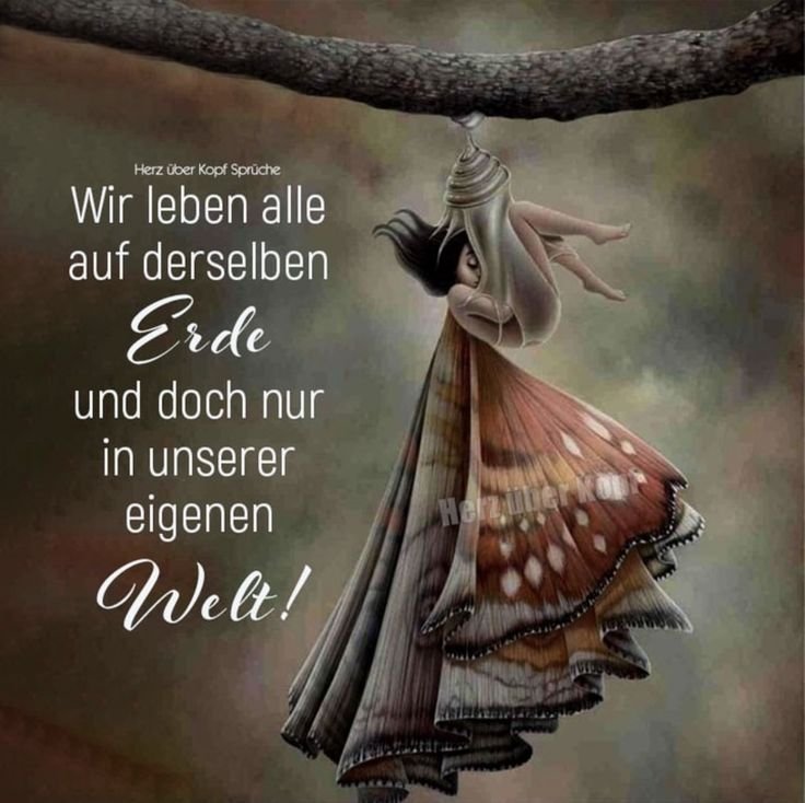 [image]