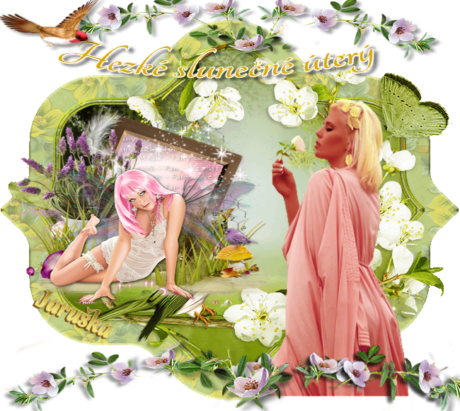 Profil uživatele zabicka - Přátelé :: Chatujme.cz