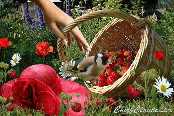 bssvhm5poqu.gif