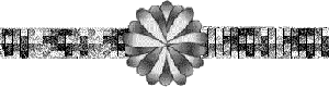 xckw40bf34a.gif