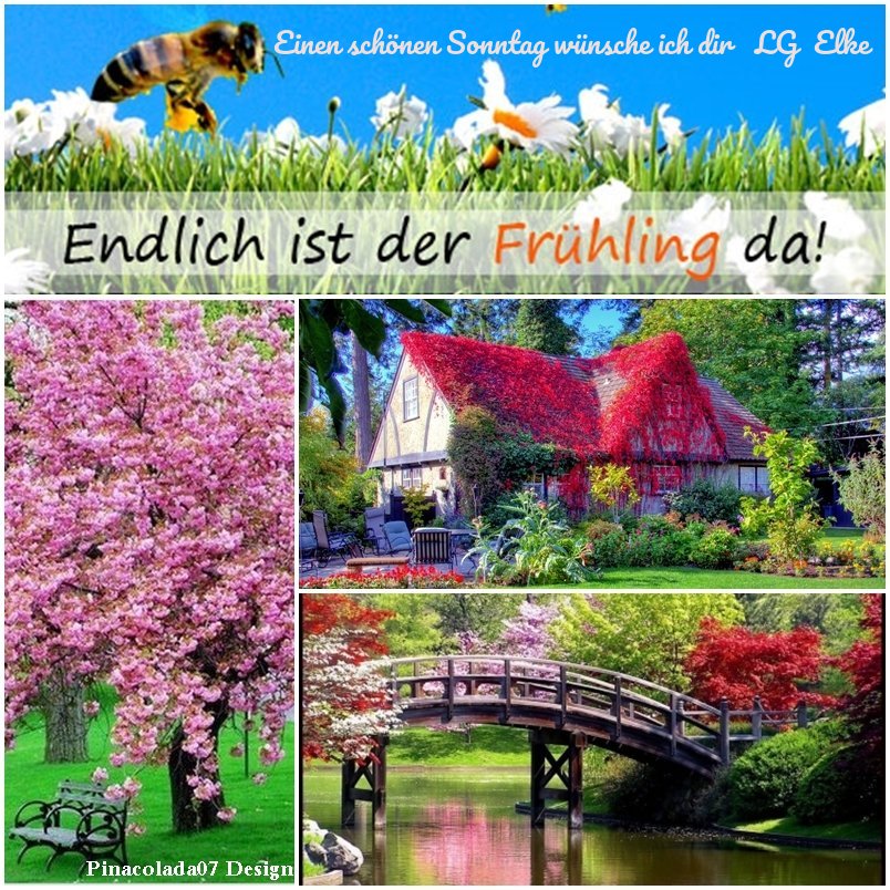 An den Beitrag angehängtes Bild: https://img1.dreamies.de/img/186/b/9vsorf71ked.jpg