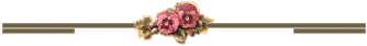 r0p0qoj71hz.gif