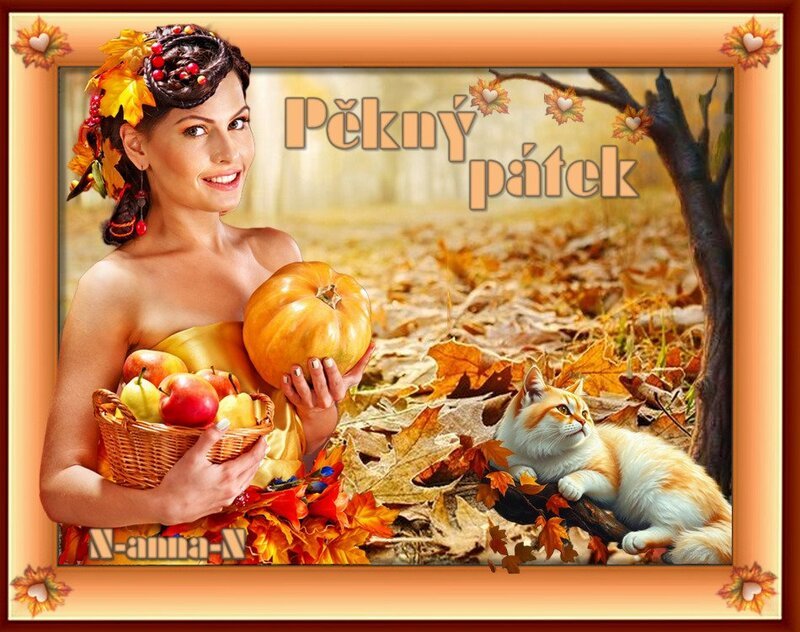 An den Beitrag angehängtes Bild: https://img1.dreamies.de/img/205/b/1kkyzrzo4yg.jpg