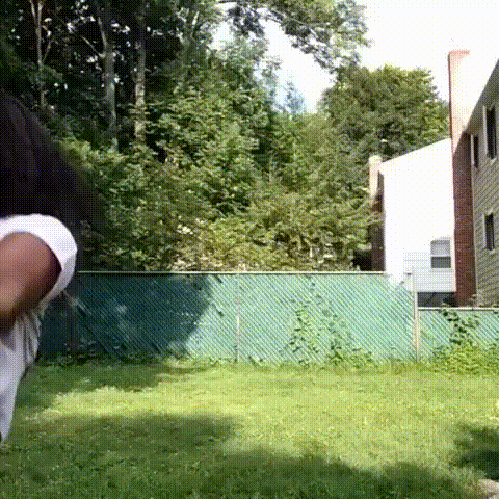 q8jju0jc0rx.gif