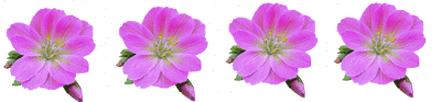 p5qq5x868v8.gif