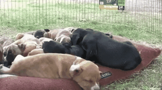 j9q91rw7ouc.gif