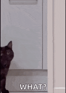 az2lpenzxsf.gif