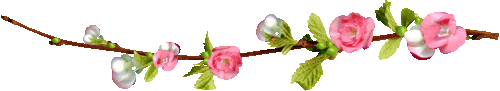 y2q5wngqogr.gif