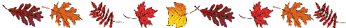 6hnc19wz04b.gif