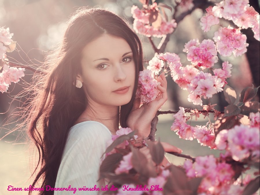 An den Beitrag angehängtes Bild: https://img1.dreamies.de/img/247/b/cvihqqz3rgn.jpg