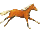 wwfks1wdafo.gif