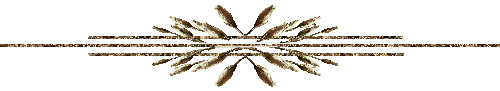 ar7agl4woxr.gif