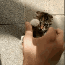 db2us7vxt7p.gif
