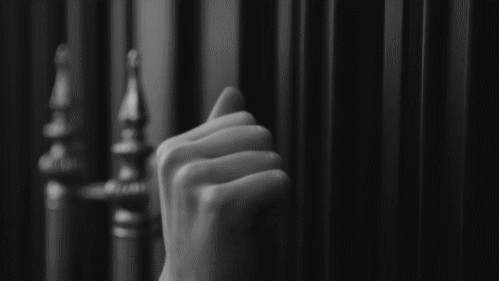 uz99y9aq2cc.gif