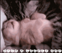 8yohddo4gug.gif