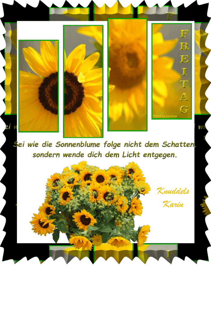 An den Beitrag angehängtes Bild: https://img1.dreamies.de/img/281/b/e2zfn6hscpd.gif