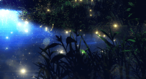 ll4cp398bt6.gif