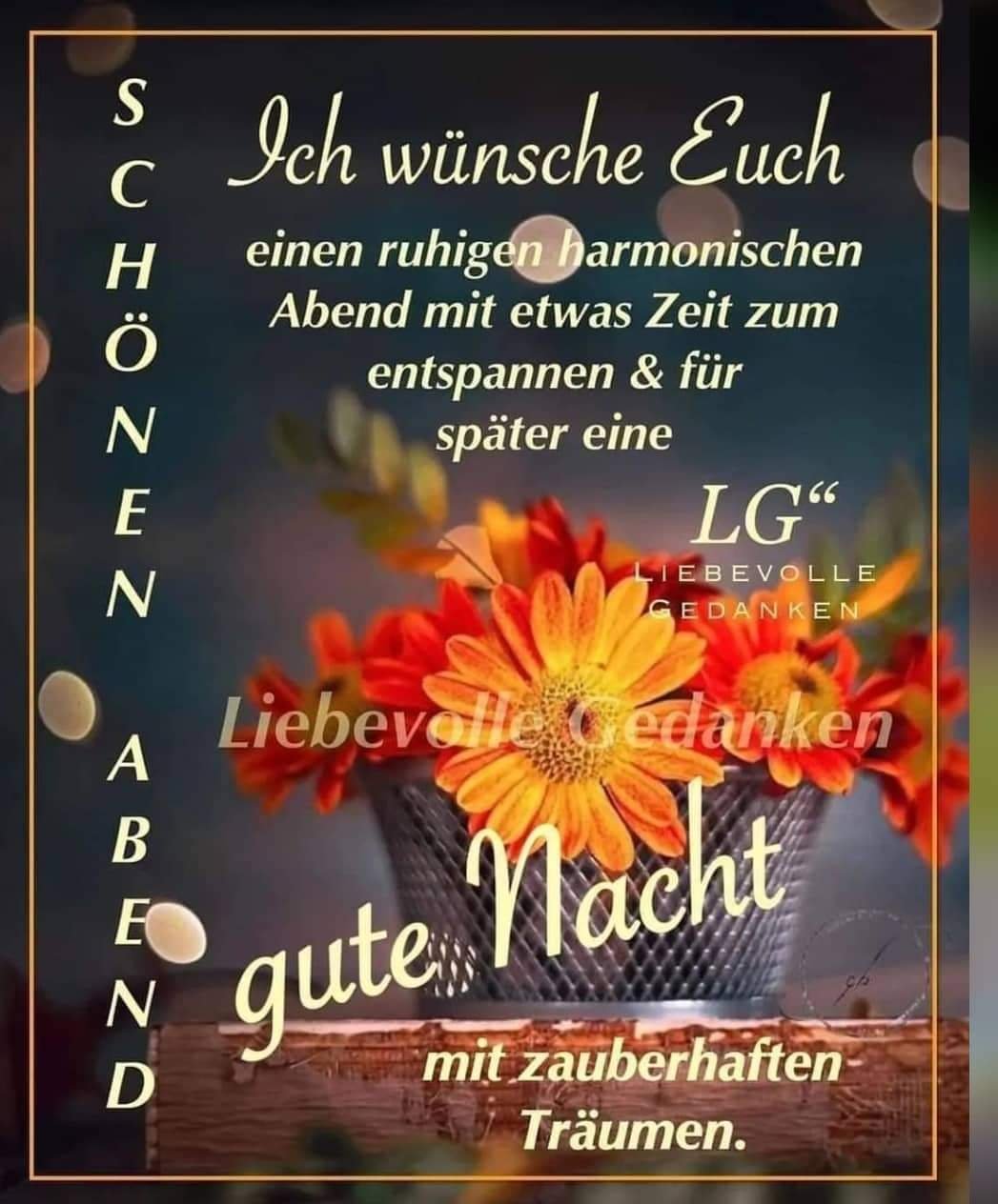 Jappy Deine Online Community