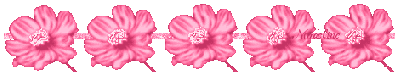 qdle4rk6q9h.gif