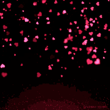 6k1ai59teqw.gif