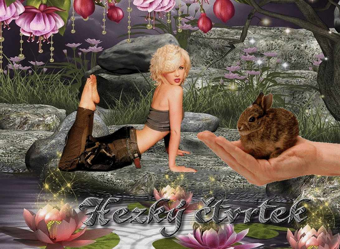 j1d4mrx76nk.gif