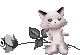 nwnz8jwmvnc.gif